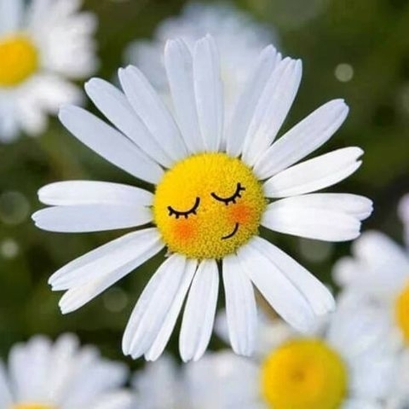 Meet your Posher, Cynthia - Picture 1 of 1